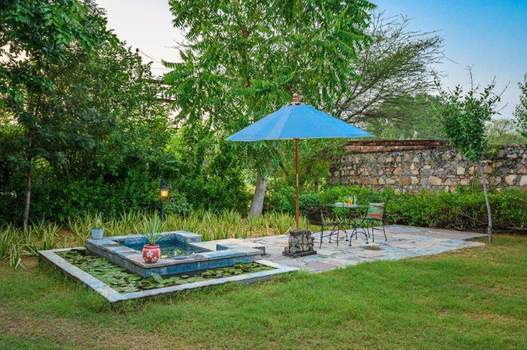 A Dog'S Story, Jaipur Bed & Breakfast Eksteriør bilde